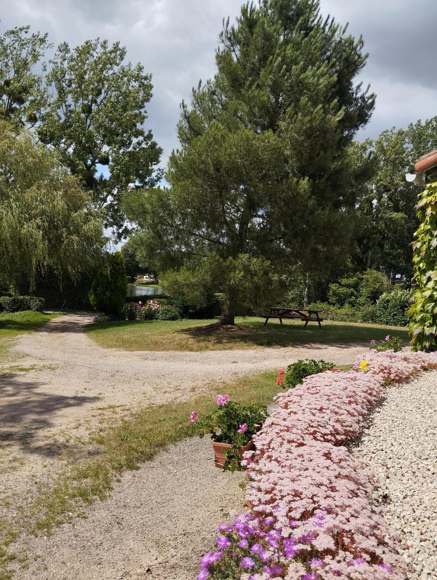 Maison Au Calme Avec Vue Etang Clesse (Deux-Sevres) Exterior foto
